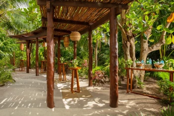 Cocktail party setup on secret garden at Secrets Akumal Riviera Maya