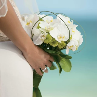 No images for fire pit terrace and sac-nite terrace at Secrets Playa Mujeres Golf and Spa