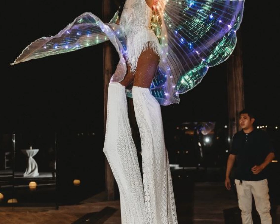 entertainment at Samantha and William's wedding reception