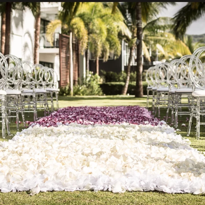 Petals on the garden at Sublime samana Las Terrenas