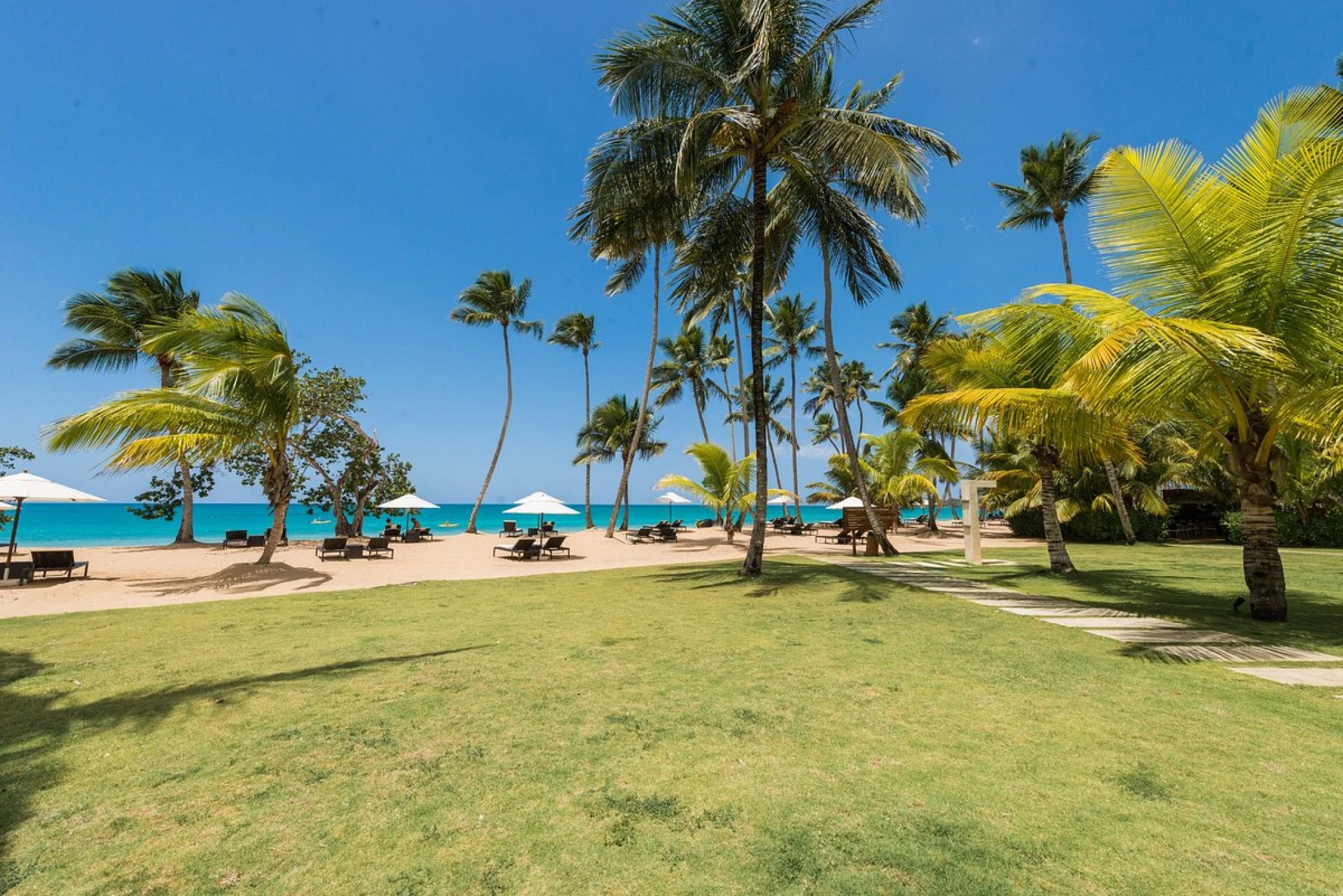 Garden at Sublime samana Las Terrenas