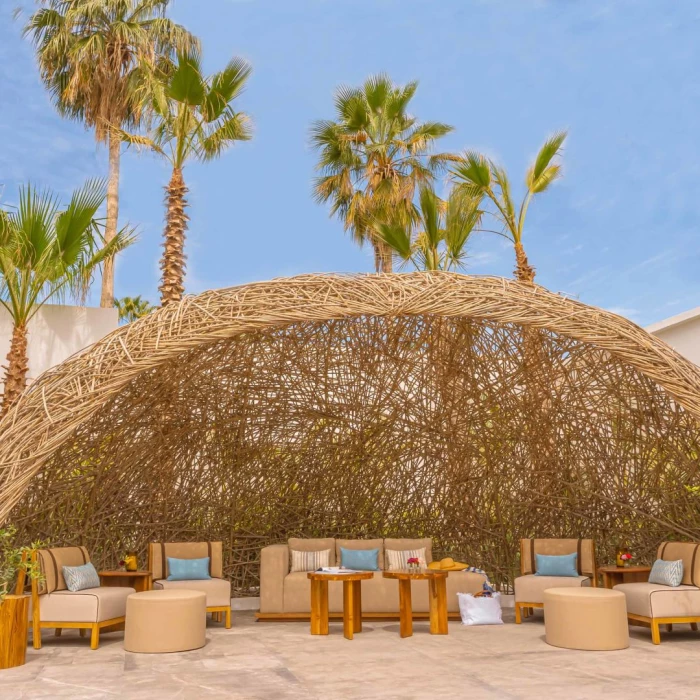 Dalia Nest at Viceroy Los Cabos