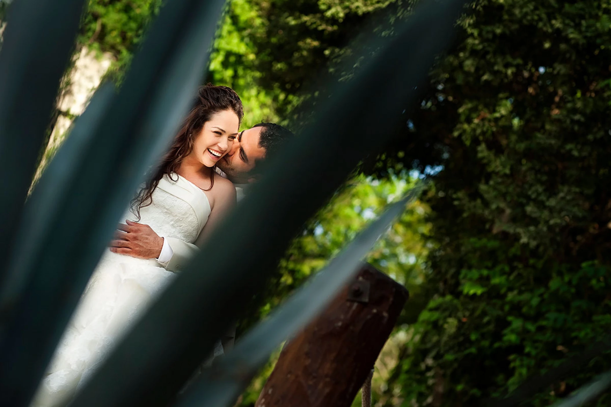 Couple kissing behind an agave plant.