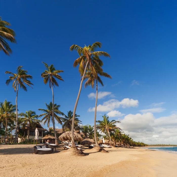 Beach at Zoetry Agua Punta Cana